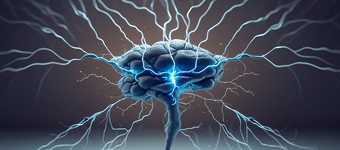 Neuroscience